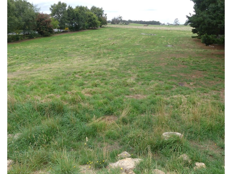 23 Mcneill St, Mole Creek TAS 7304