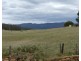 23 Mcneill St, Mole Creek TAS 7304