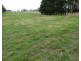 23 Mcneill St, Mole Creek TAS 7304
