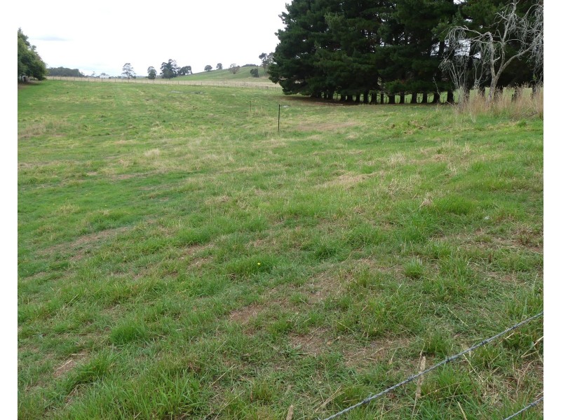 23 Mcneill St, Mole Creek TAS 7304