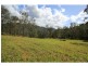 Cedar Creek QLD 4520