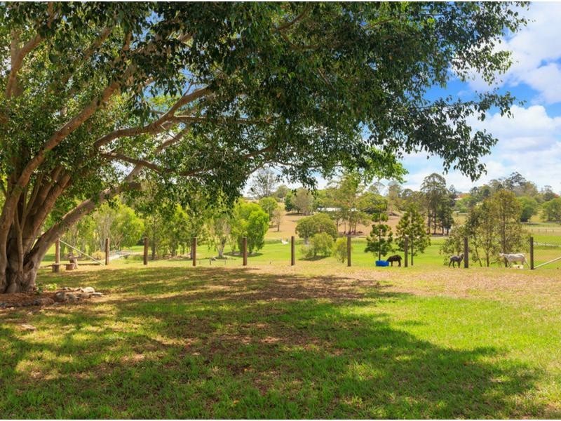 3 Appaloosa Court, Dayboro QLD 4521