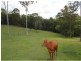10 McGinn Close, Dayboro QLD 4521