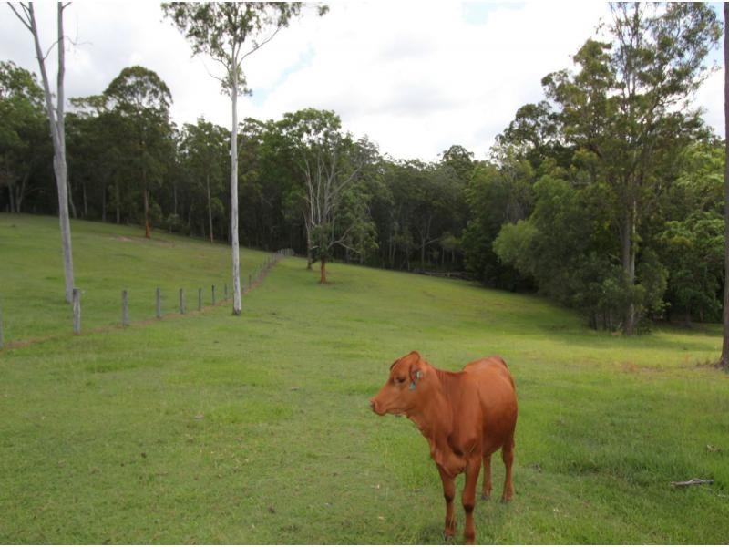 10 McGinn Close, Dayboro QLD 4521