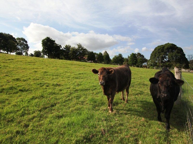 L13 5 Don Lee Close, Armstrong Creek QLD 4520