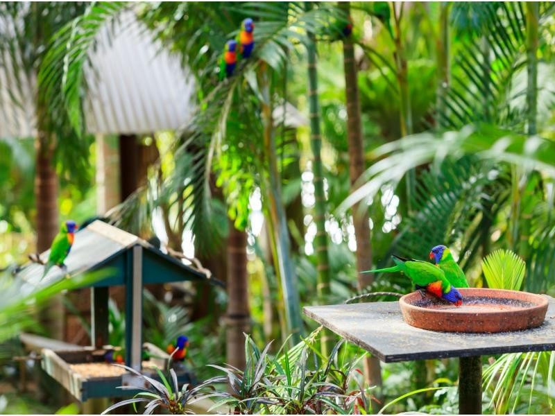 63 Roderick Street, Dayboro QLD 4521