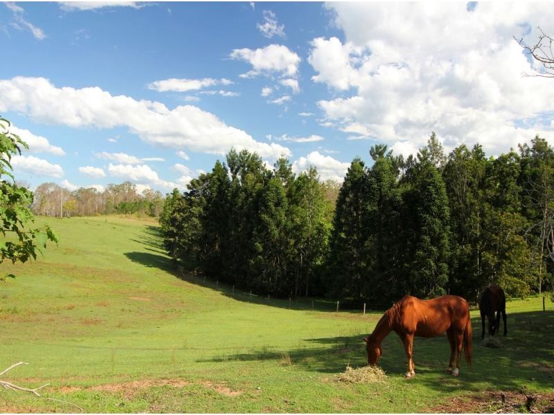 1415 DAYBORO ROAD, Rush Creek QLD 4521