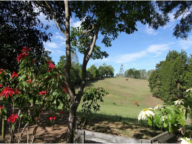 1415 DAYBORO ROAD, Rush Creek QLD 4521