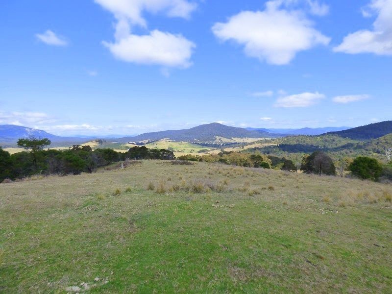 295 Myrtle Mtn Road, Wyndham NSW 2550