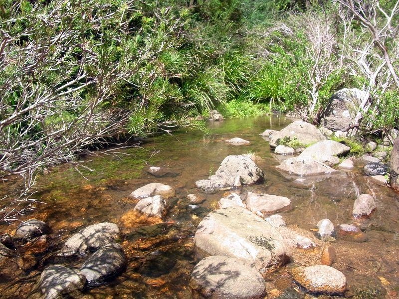 295 Myrtle Mtn Road, Wyndham NSW 2550