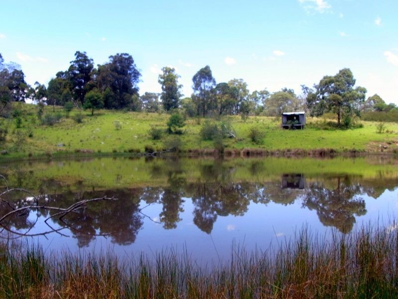 295 Myrtle Mtn Road, Wyndham NSW 2550