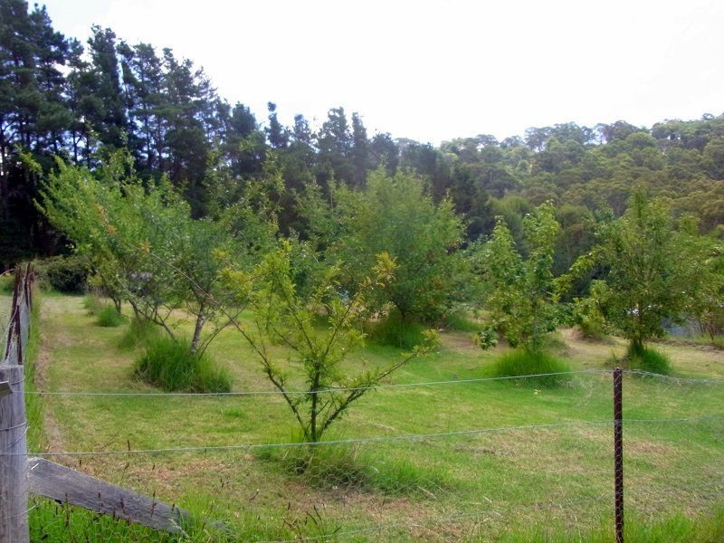 295 Myrtle Mtn Road, Wyndham NSW 2550