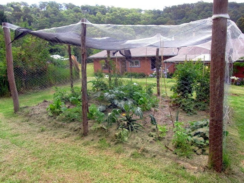 295 Myrtle Mtn Road, Wyndham NSW 2550