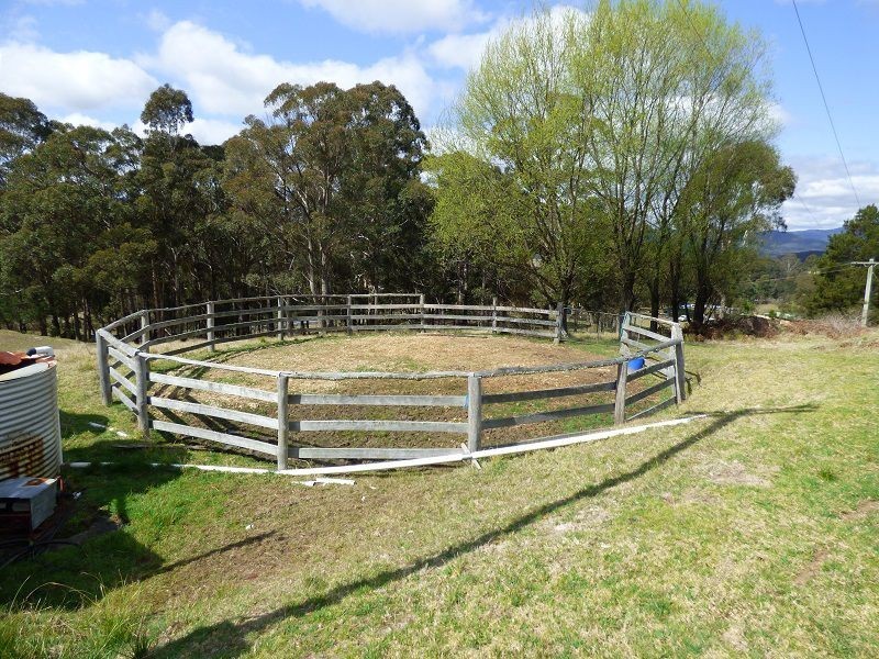 295 Myrtle Mtn Road, Wyndham NSW 2550