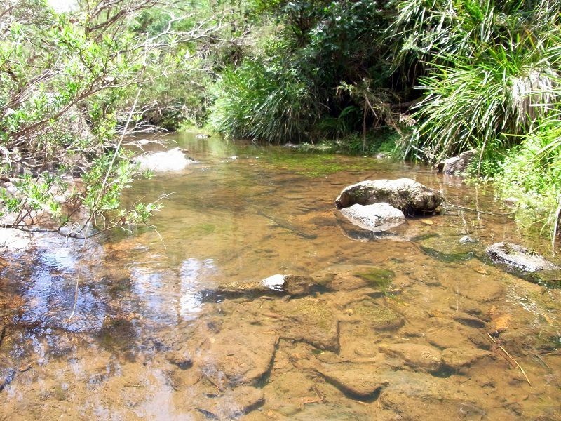 295 Myrtle Mtn Road, Wyndham NSW 2550