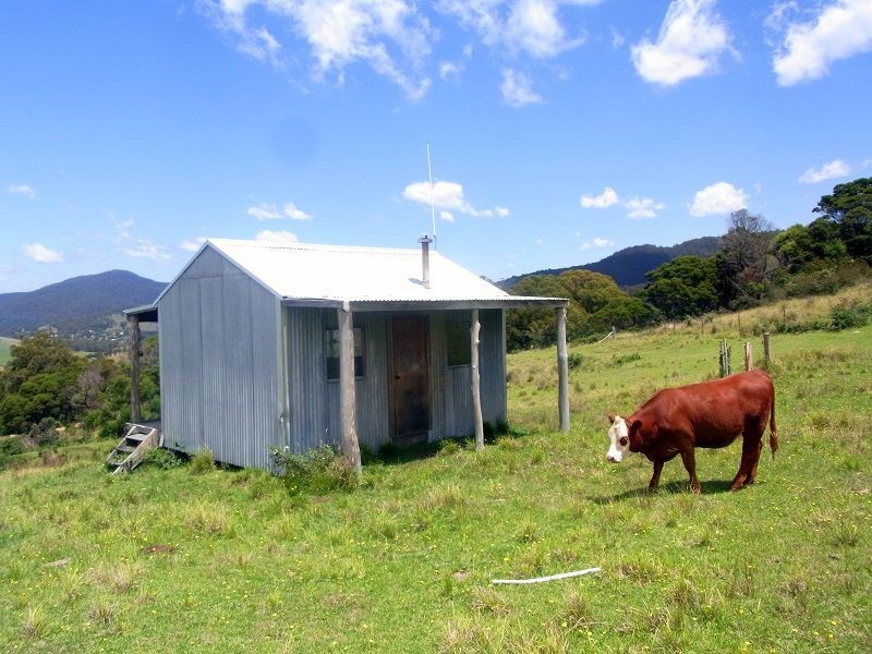 295 Myrtle Mtn Road, Wyndham NSW 2550