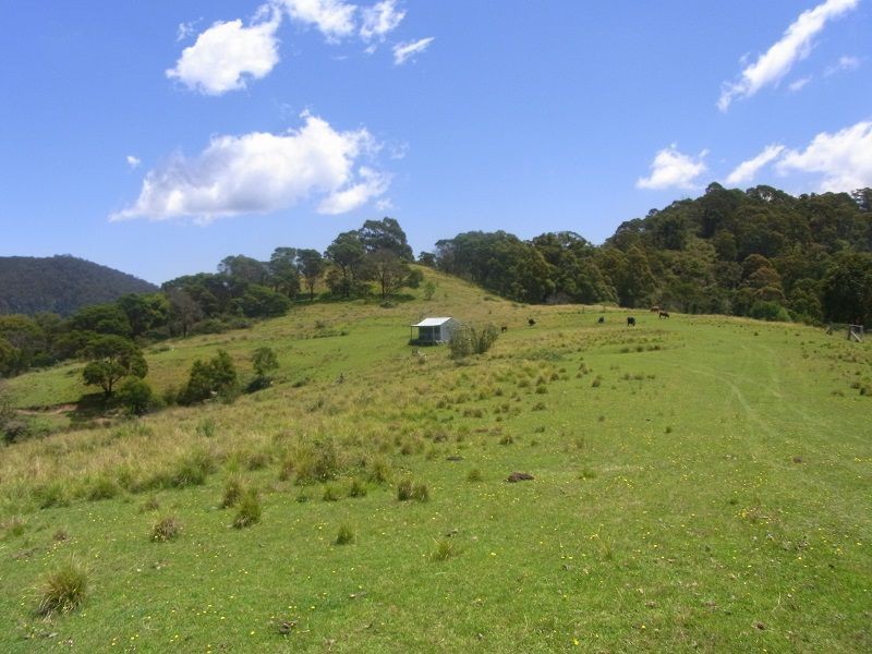 295 Myrtle Mtn Road, Wyndham NSW 2550