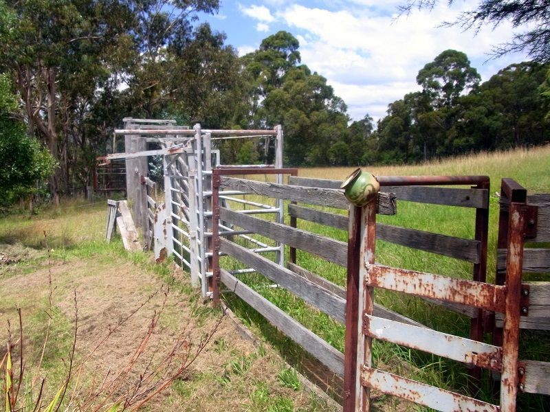 295 Myrtle Mtn Road, Wyndham NSW 2550