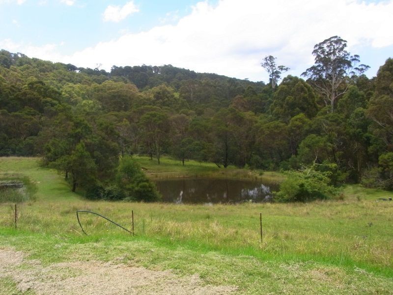 295 Myrtle Mtn Road, Wyndham NSW 2550