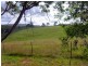 972 Back Creek Road, Lochiel NSW 2549