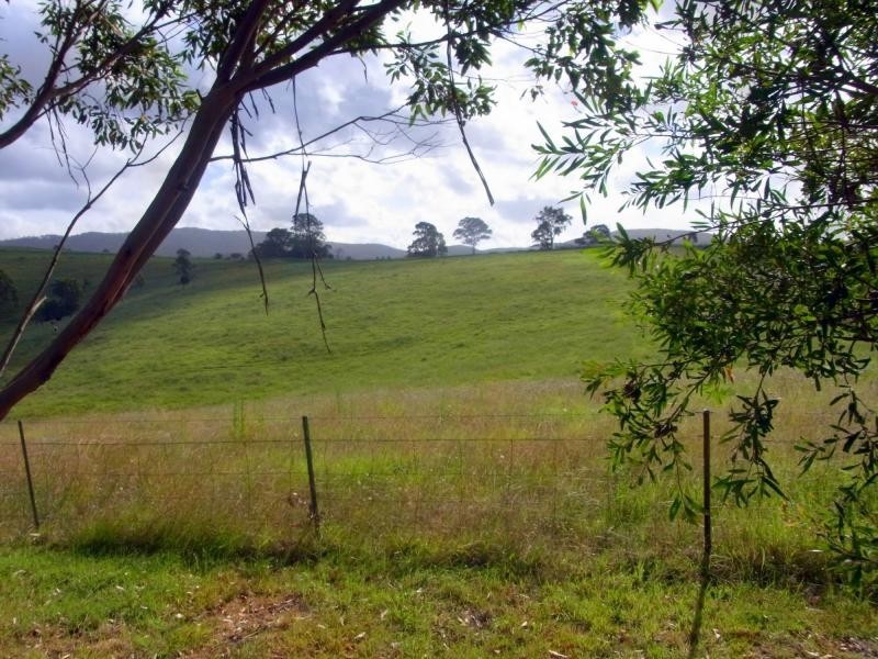 972 Back Creek Road, Lochiel NSW 2549