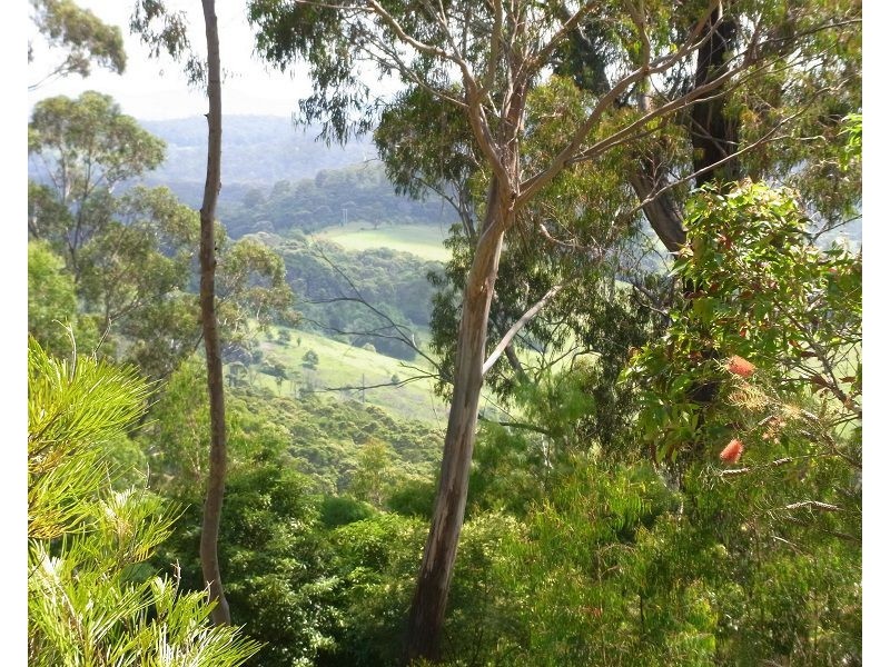 Lot 37 Via Ruggs Road, Nethercote NSW 2549