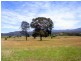689 Back Creek Road, Lochiel NSW 2549