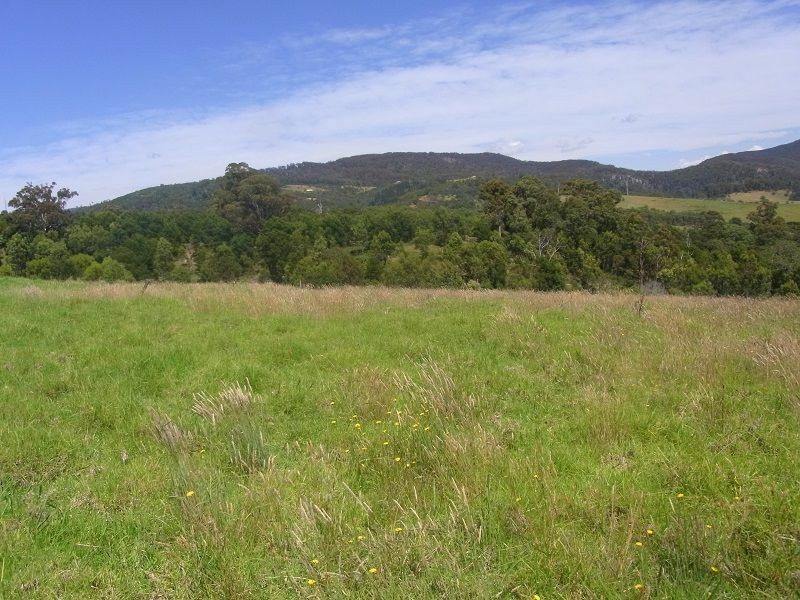 689 Back Creek Road, Lochiel NSW 2549