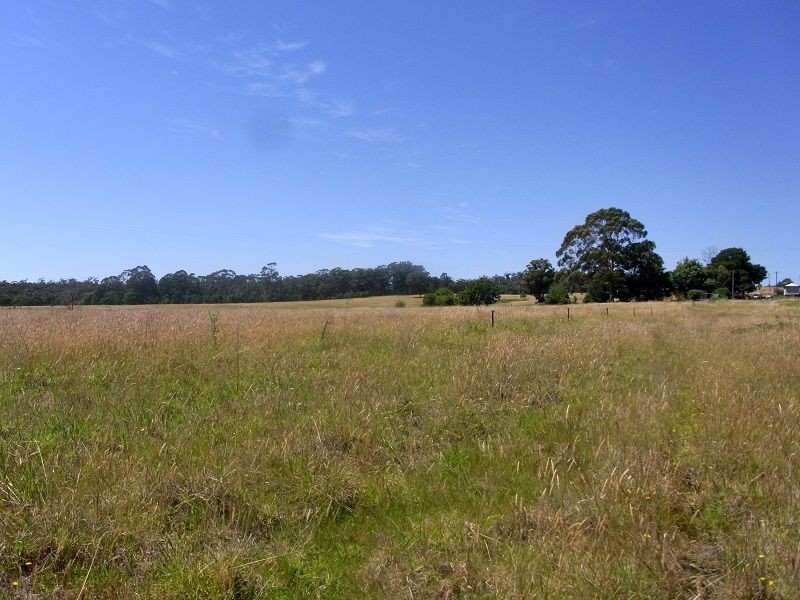 689 Back Creek Road, Lochiel NSW 2549