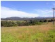 689 Back Creek Road, Lochiel NSW 2549