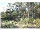 L14 Acacia Avenue, Via Eden, Wonboyn NSW 2551