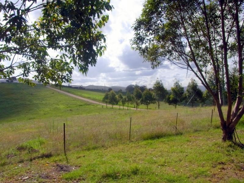 972 Back Creek Road, Lochiel NSW 2549