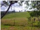 972 Back Creek Road, Lochiel NSW 2549