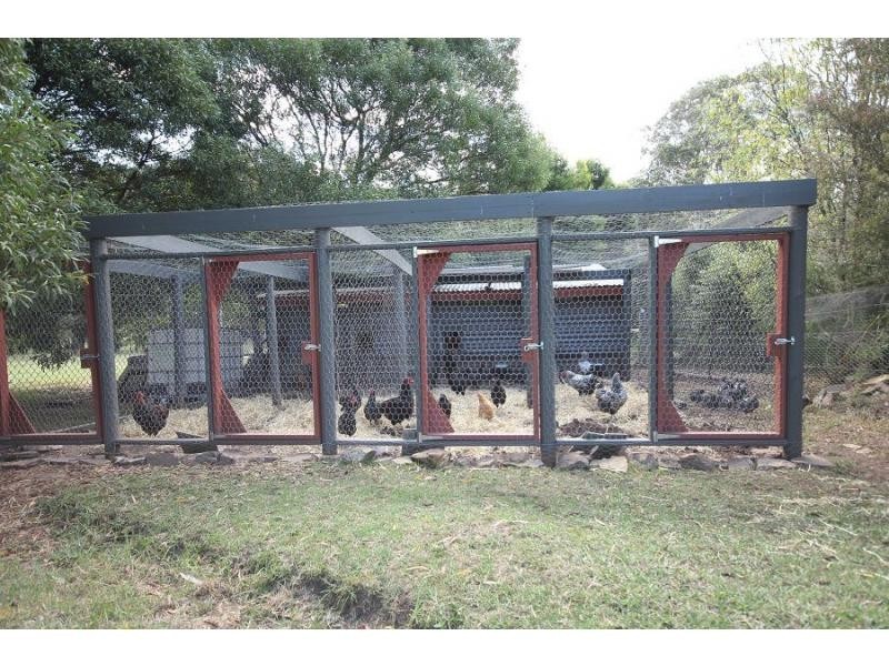 911 Nethercote Road, Nethercote NSW 2549