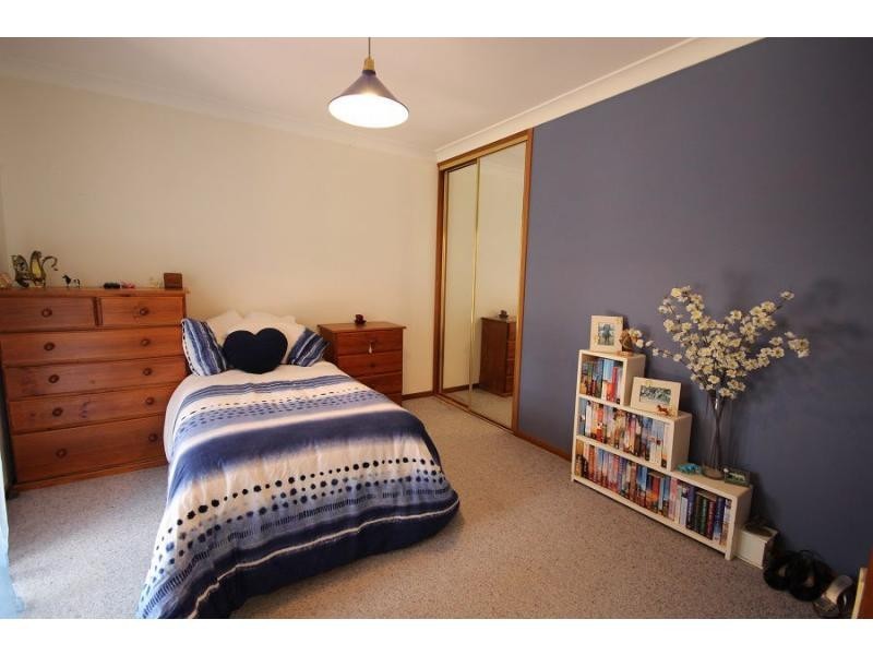 911 Nethercote Road, Nethercote NSW 2549