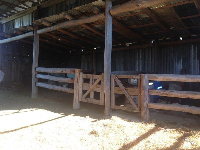 561 Back Creek Road, Lochiel NSW 2549