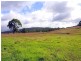 561 Back Creek Road, Lochiel NSW 2549