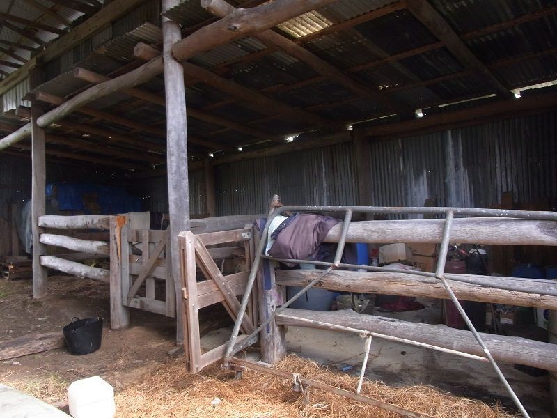 561 Back Creek Road, Lochiel NSW 2549