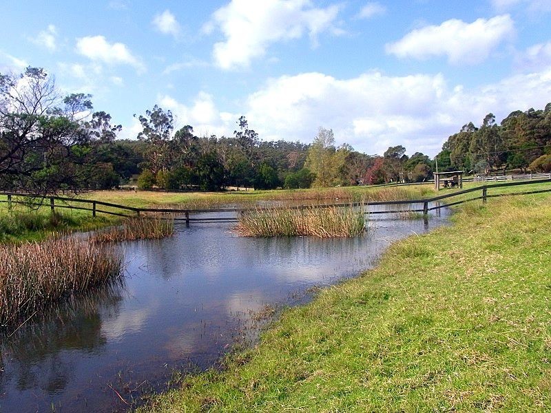 561 Back Creek Road, Lochiel NSW 2549