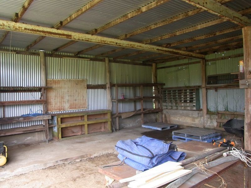 561 Back Creek Road, Lochiel NSW 2549