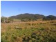 Lot 342 Mt Darragh Road, Wyndham NSW 2550