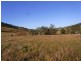 Lot 342 Mt Darragh Road, Wyndham NSW 2550