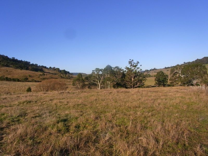 Lot 342 Mt Darragh Road, Wyndham NSW 2550
