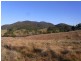 Lot 342 Mt Darragh Road, Wyndham NSW 2550
