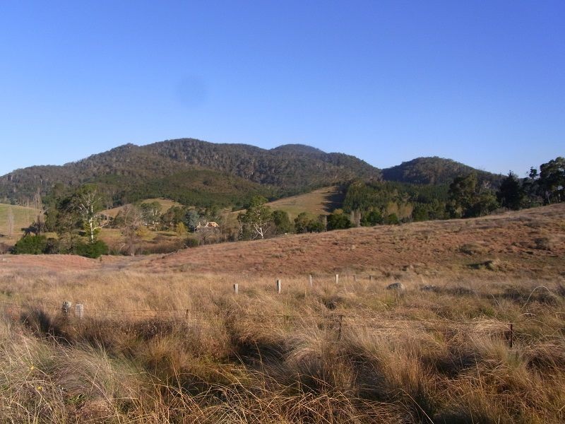 Lot 342 Mt Darragh Road, Wyndham NSW 2550
