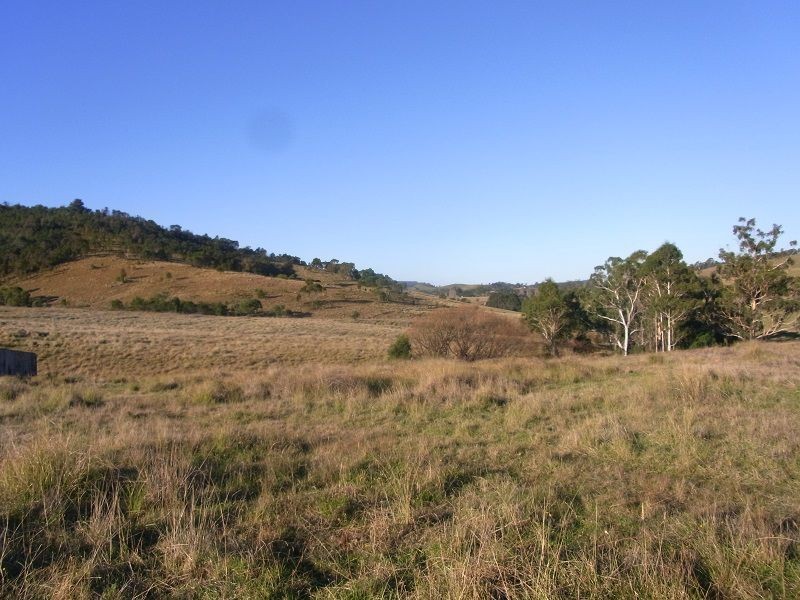 Lot 342 Mt Darragh Road, Wyndham NSW 2550