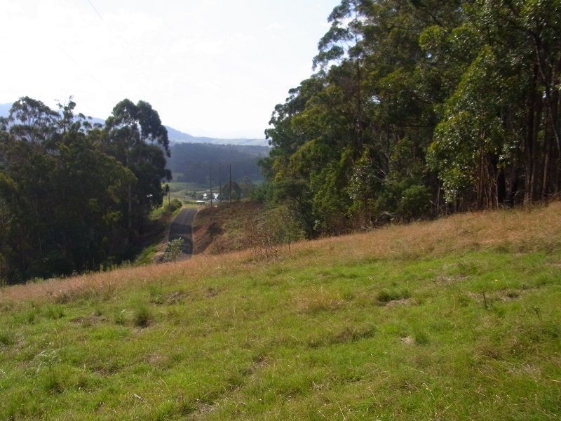 L244 Jenny Lane, Nethercote NSW 2549