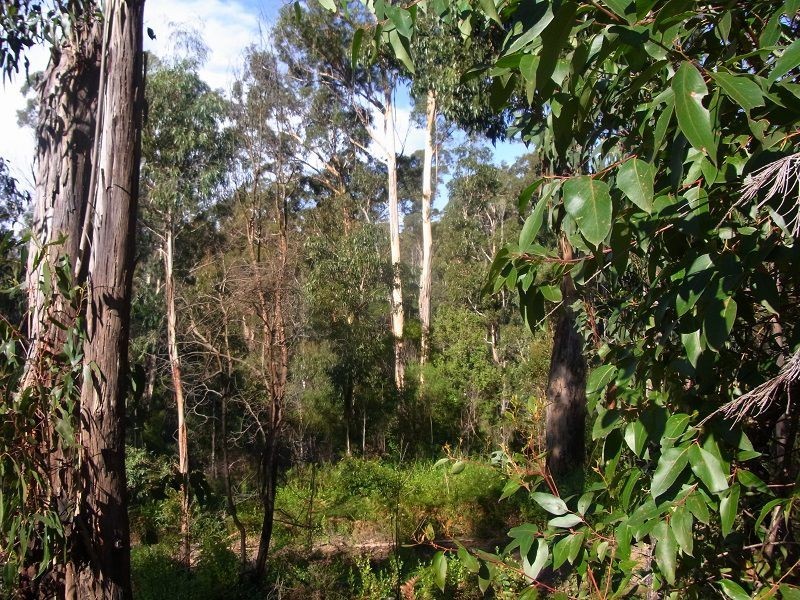 L11 Imlay Road, Narrabarba NSW 2551