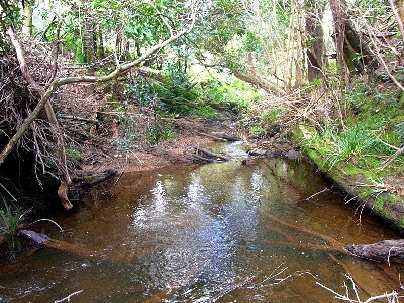 L11 Imlay Road, Narrabarba NSW 2551