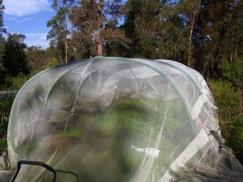 L11 Imlay Road, Narrabarba NSW 2551